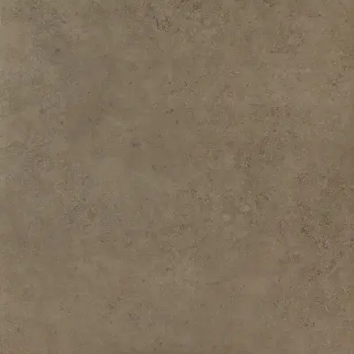 Браун Натуральный 60x60 cm
