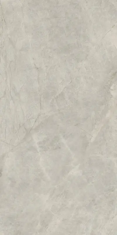 Сильвер Силк 60x120 cm