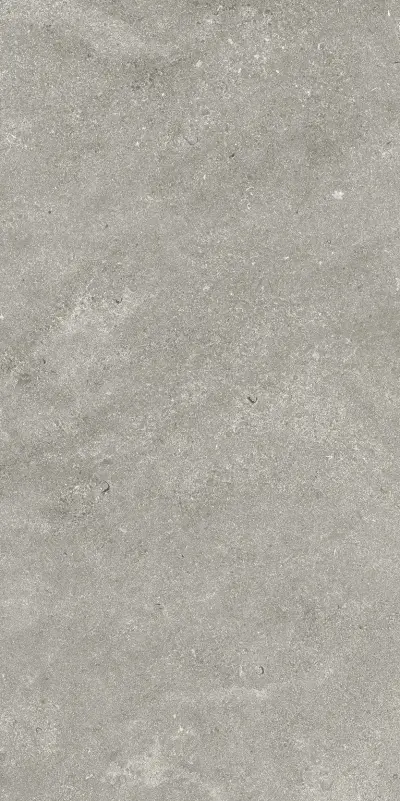 Стоун Грэй Натуральный 60x120 cm