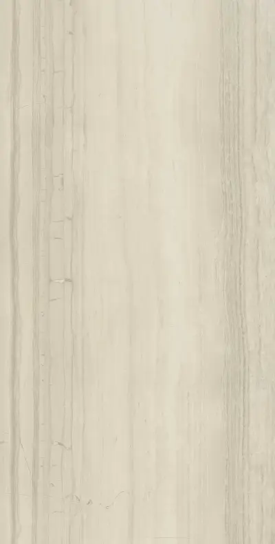 Силк Грэй Патинированный 60x120 cm